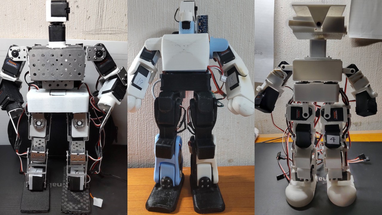 Customizable Educational Robot
